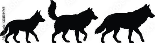 Canvastavla Silhouette Set of Wolves in Different Sizes Walking for Animal, Wildlife, and Na