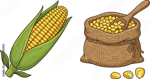 Foto Corn cob with husk and sack of kernels with wooden spoon on white background ill