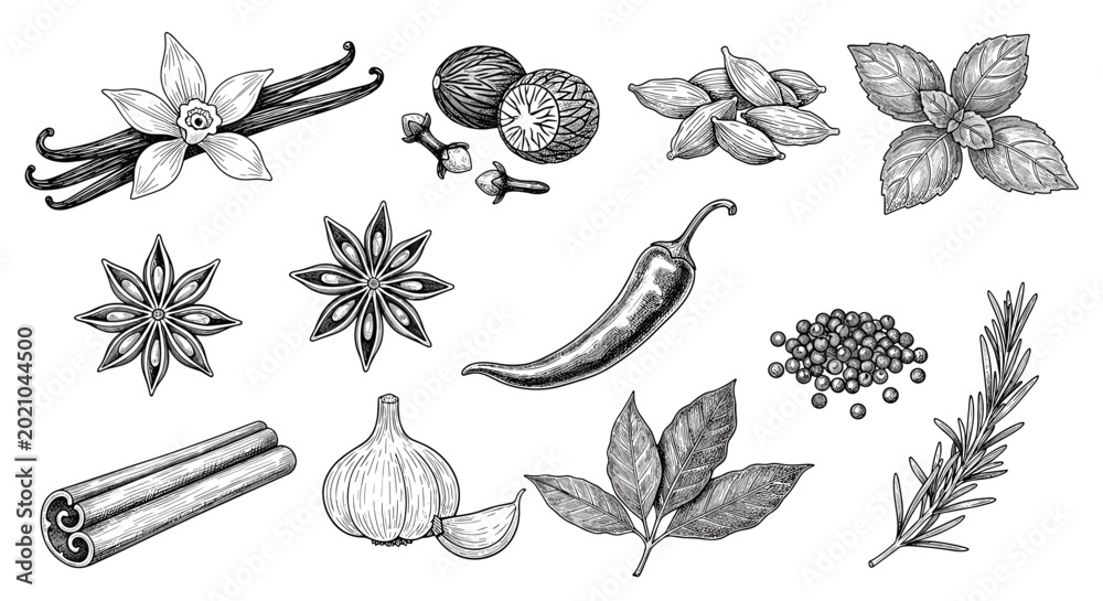 Fototapeta premium Set of hand-drawn spice and herb illustrations including cinnamon, garlic, chili, star anise, vanilla, and peppercorns.