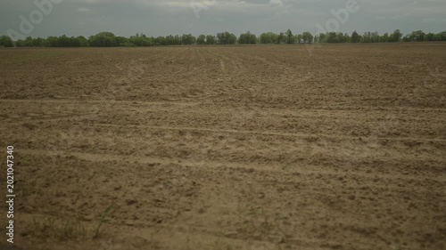View from a moving car window across a freshly cultivated agricultural field with young green sprouts under cloudy sky. Rural countryside landscape, farming season, crop growth and spring nature.