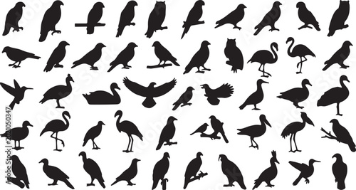 Foto Black bird silhouettes collection, set of 50 wild avian species icons, flying an