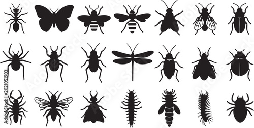 Schilderij op canvas Insects silhouette collection, 21 bug icons set, black garden pests and butterfl