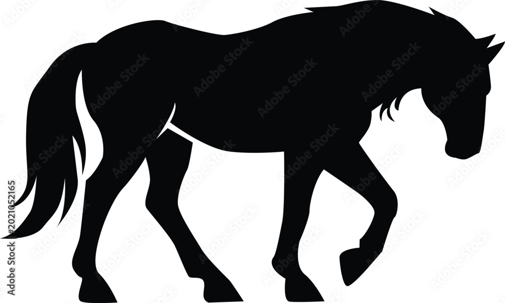 Obraz premium Horse silhouette black and white isolated on white background