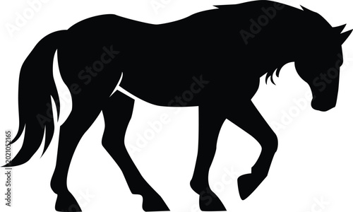 Foto Horse silhouette black and white isolated on white background