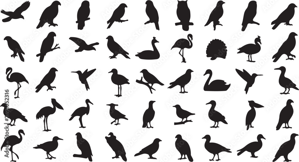 Fototapeta premium Black bird silhouettes collection, 50 avian species vector set, wild bird shapes including eagle owl flamingo and swan, nature wildlife design elements