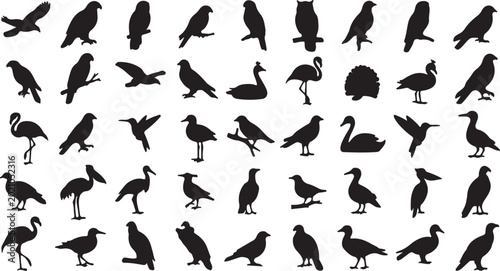 Photos Black bird silhouettes collection, 50 avian species vector set, wild bird shapes