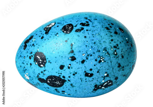 Fotografie Speckled blue bird egg, natural spotted egg isolated on transparent background P