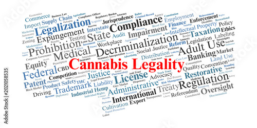 Canvas Print Cannabis Legality Word Cloud