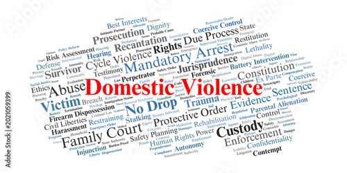 Domestic Violence Word Cloud. Visual summary of legal concepts regarding domestic abuse, coercive control, protective orders, and the intersection of criminal and family law systems.
