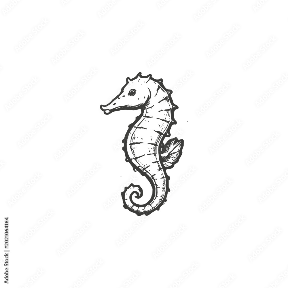 Fototapeta premium Seahorse Sketch Vector