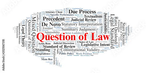 Schilderij op canvas Question of Law Word Cloud