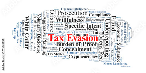 Schilderij op canvas Tax Evasion Word Cloud