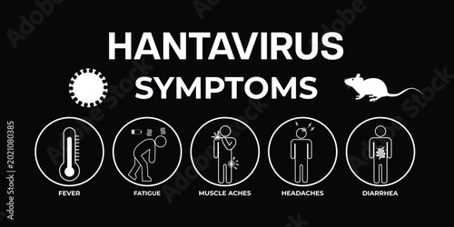 Hantavirus symptoms icon set vector illustration.
