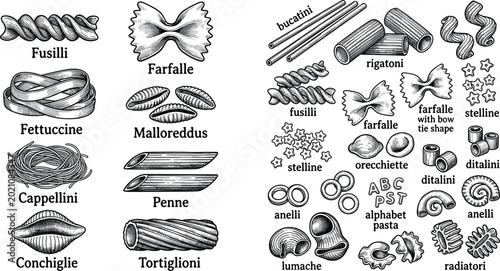 Tableau sur toile Hand-Drawn Pasta Vector Set Featuring Fusilli, Farfalle, Fettuccine, Penne, Conc