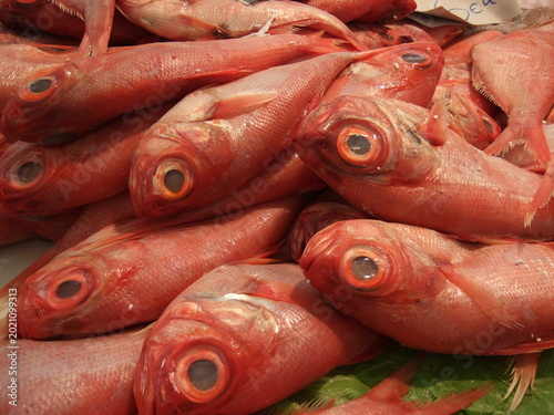Schilderij op canvas Fresh Red Fish with Large Eyes on Display at Andalusian Fish Market