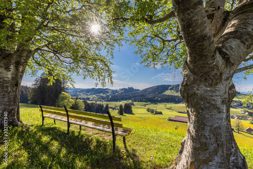 Bild auf Leinwand Landschaft im Appenzellerland mit Sitzbank und Blick auf Speicher