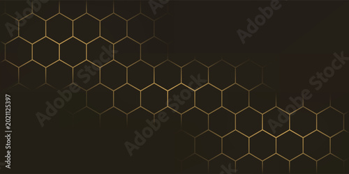 Slika na platnu Hexagon technology black dan berwarna emas honeycomb abstract background