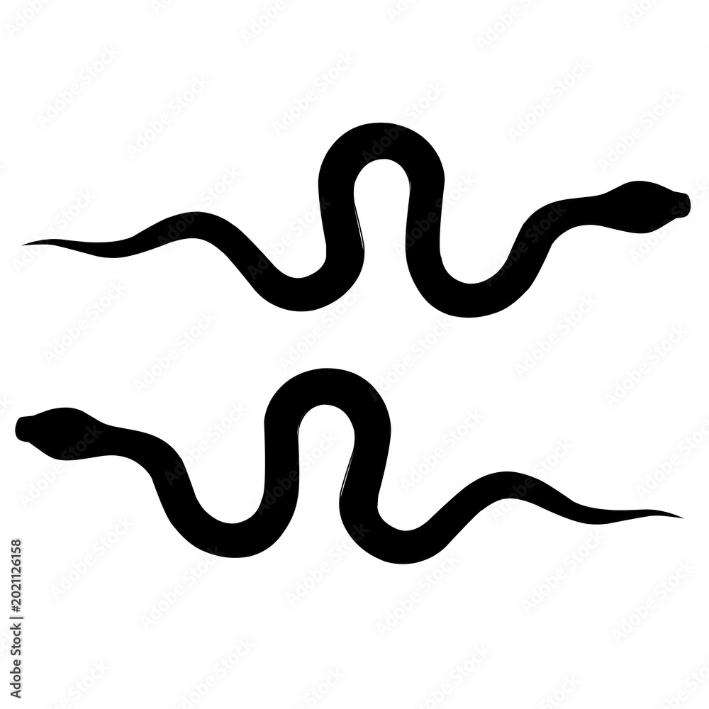 Fototapeta premium snake on a black background
