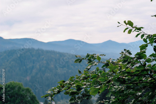 Obraz na plátně Mountains and trees under a cloudy sky in a natural setting during an overcast d