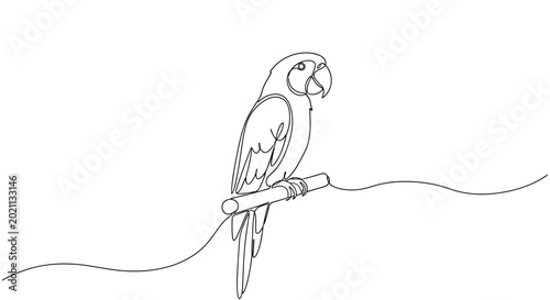Continuous line drawing of a parrot perched on a branch.
