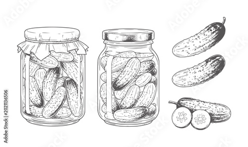 Photos Hand drawn pickles in jars and whole and sliced cucumbers food preservation