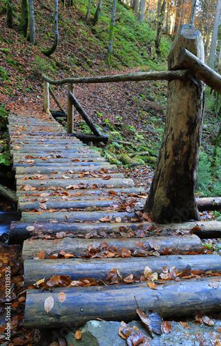 Rustic wooden bridge crossing a stream in a forest during autumn