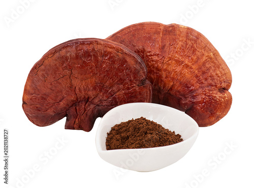 Lingzhi or Reishi mushroom and powder isolated on transparent background.