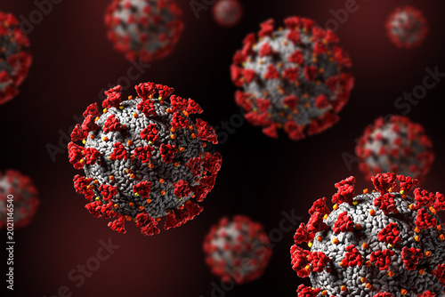 Hantavirus 2026. Andes virus close up