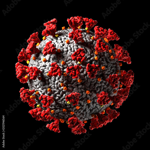 Hantavirus 2026. Andes virus close up