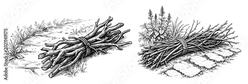 Firewood faggot bundle with vintage stick twig branch grass path