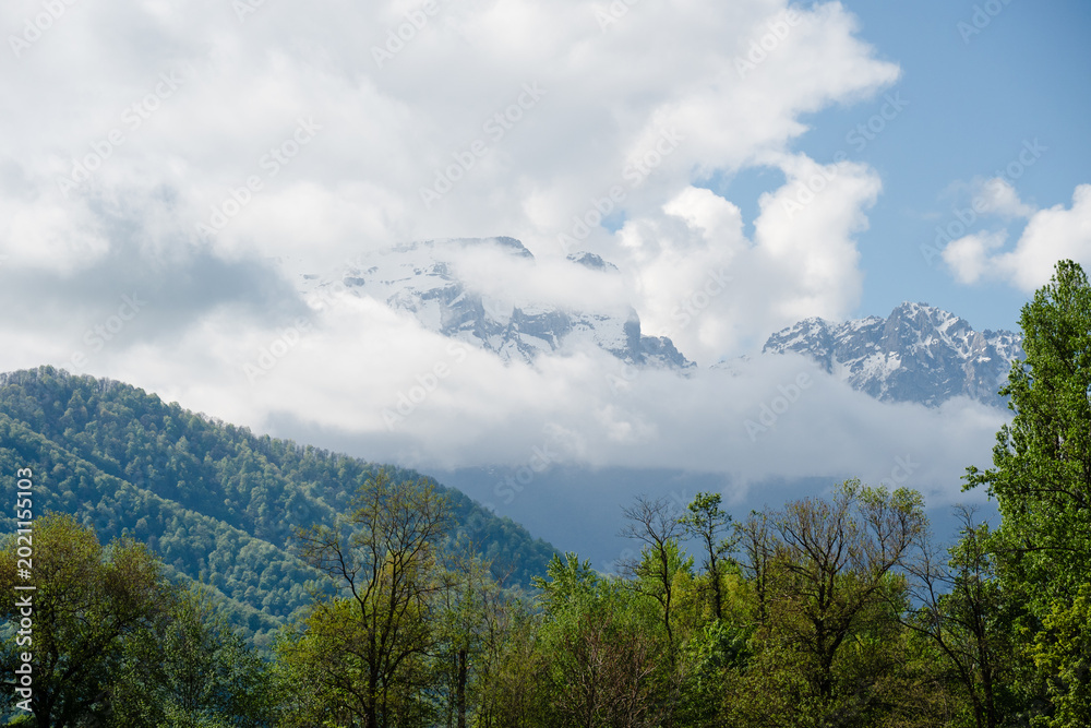Obraz premium Beautiful mountain wilderness scenery with lush spring trees and cloudy mountain range. Scenic alpine landscape with green forested slopes in the foreground and snowy summits in the background.