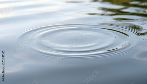 Circular wave pattern spreads across still water. Grey sky reflects on smooth surface with subtle texture.