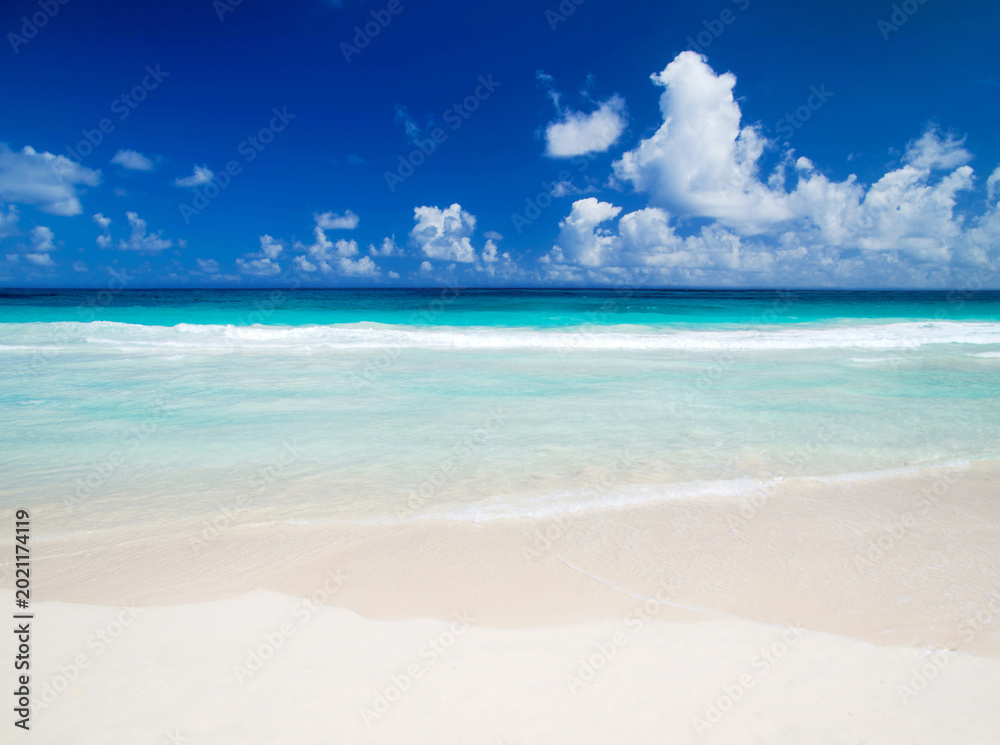 Obraz premium Sea beach. Tropical Maldives island with white sandy beach