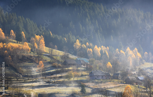 Konstfotografi Misty autumn morning in a mountain village with golden trees and frosted fields