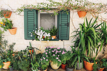 Mediterranean house window with flowers and green shutters. Potted plants on rustic stone wall. Cozy home garden decoration. European village architecture detail. Summer travel background