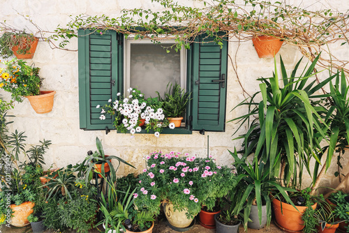 Фотография Mediterranean house window with flowers and green shutters