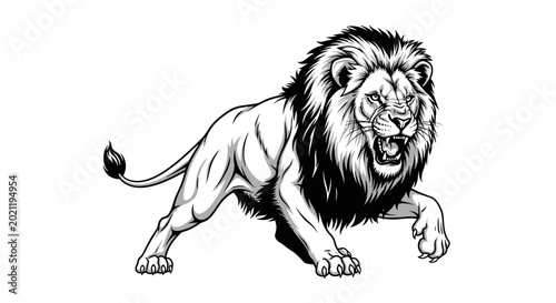 Tableau sur toile Fierce roaring lion in aggressive attacking pose.