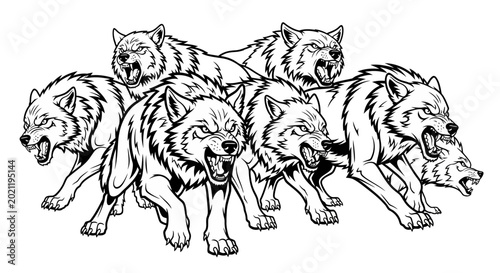 Quadro em tela Fierce wolf pack illustration with aggressive wolves running and growling