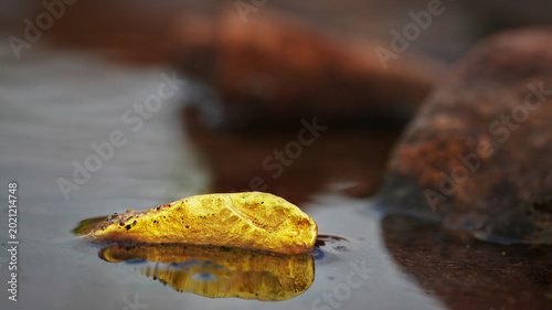 Foto Golden nugget with reflective texture and soft smoke on black background symboli