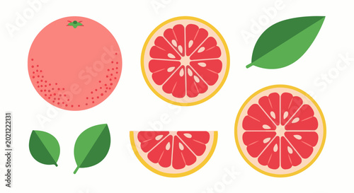Stylized illustration of a whole grapefruit and its slices with leaves