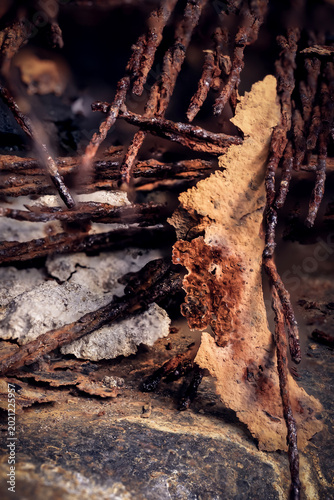 rusted parts of an old wheel