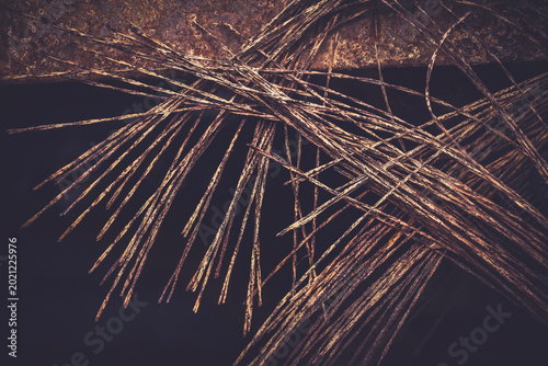 rusted parts of an old wheel