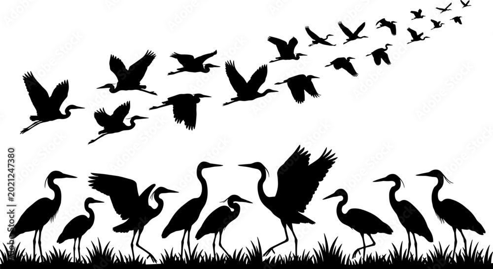 Fototapeta premium Flock of Flying and Standing Heron Silhouette Set Featuring Migrating Stork Crane and Egret Birds in Swamp Grass Nature Vector Graphic Designs