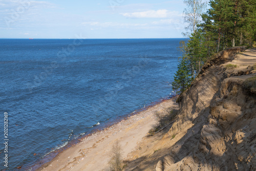 Cuadro en lienzo A twenty-meter cliff on the shore of the Finnish Bay on a sunny May day