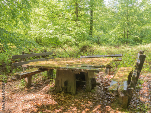 Obraz na płótnie Alte Tischgruppe im Wald