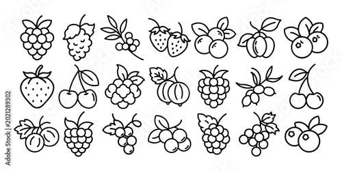 Berry Outline Icons. Set of linear berry symbols featuring raspberries, gooseberries, currants, and blackberries