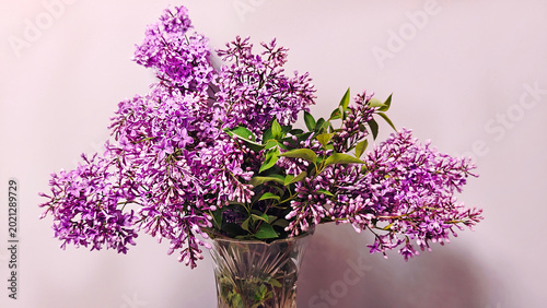 Bild auf Leinwand Lilacs in a glass vase—a symbol of spring’s freshness and home comfort
