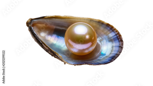 Photos Golden pearl nestled inside a lustrous oyster shell, isolated on transparent bac