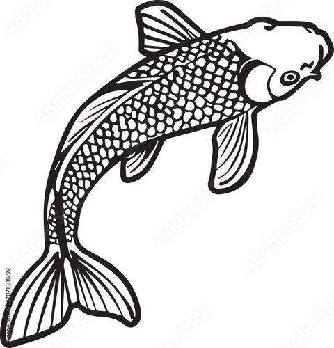 Foto A striking Koi fish graphic