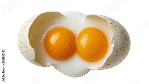 Photos Two bright yellow egg yolks and white albumen in a cracked speckled eggshell, is